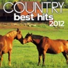 Country Best Hits 2012