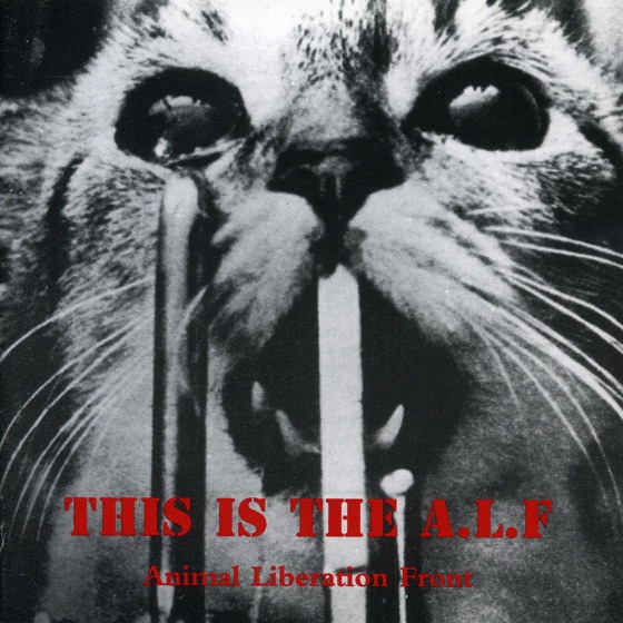 Cover artwork for Sentiment
