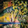 Stream & download Reger: Clarinet Quintet & String Sextet