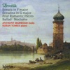 Dvořák: Music for Violin and Piano