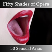 Fifty Shades of Opera - 50 Sensual Arias artwork