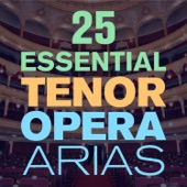 25 Essential Tenor Opera Arias, Songs & Duets with  from Mozart, Puccini, Bizet, Verdi, Donizetti & More artwork