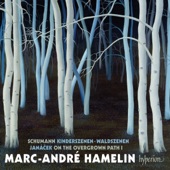 Schumann: Kinderszenen & Waldszenen - Janáček: On the Overgrown Path I artwork