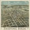 Too Young - Thieving Birds lyrics