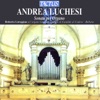 Roberto Loreggian, Francesco Ferrarini, Enrico Casazza, Isabella Longo & Accademia della Magnifica Comunità - Keyboard Sonata in B-Flat Major