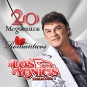 20 Megaexitos Románticos artwork