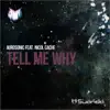 Stream & download Tell Me Why (feat. Nicol Cache)