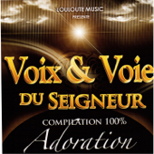 Voix & voie du seigneur, vol. 3 (Compilation 100% Adoration) - Multi-interprètes