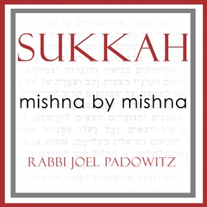 Sukkah5-8