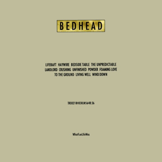 Cover artwork for Wind Down