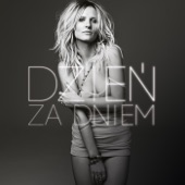 Dzien Za Dniem artwork