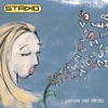 Stadio - Che cos'e'