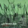 Latin Faculty / Latínudeildin