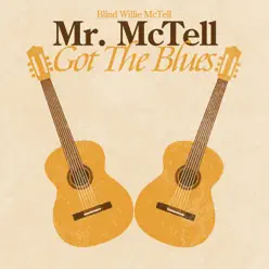 Mr. McTell Got the Blues - Blind Willie McTell