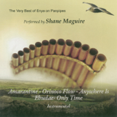 The Very Best of Enya On Panpipes - Shane Maguire