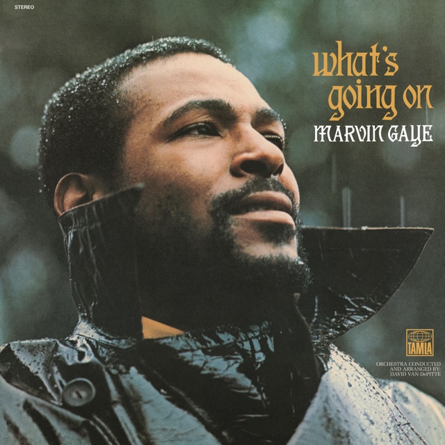Marvin Gaye What's Going On Album Cover