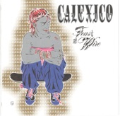 Not Even Stevie Nicks... - Calexico