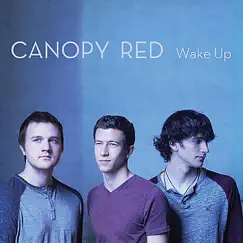 Wake Up by Canopy Red album reviews, ratings, credits