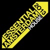 Essential Amsterdam 2013: House, 2013