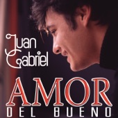 Juan Gabriel - Te Sigo Amando