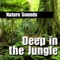 Active Jungle Wildlife in the Morning - Nature Sounds lyrics