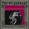 Romania - The Wilderness lyrics