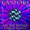 All The Things - Dubstep Remixes - Single album lyrics, reviews, download