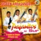 Los Dos Comandantes - Los Internacionales Pajaritos Del Sur lyrics