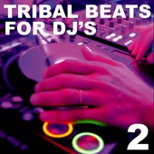 Tribal Beats for DJ's, Vol. 2 artwork