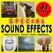 Linked Animal - Sfx Professional Resource Studio lyrics