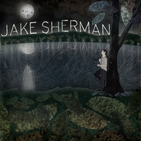 Cover artwork for Not the Same