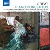 Piano Concerto No. 27 in B-Flat Major, K. 595: II. Larghetto artwork