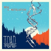 Toad the Wet Sprocket - New Constellation