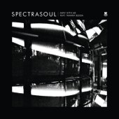 Away With Me (Calibre Remix) - SpectraSoul & Tamara Blessa