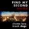 Find My Second Home artwork