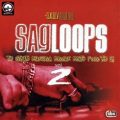 Sagloops Volume 2 - The Ultimate Bhangra Break Beats For the DJ artwork