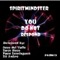 You Do Not Respond (DJ Antro Not Standard Remix) - SpiritMindster lyrics
