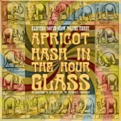 Apricot Hash in the Hour Glass - Electric Sound Show, Vol. 3 (Remastered) artwork