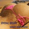 Electro Music Spring Break Playlist - Spring Break Dj lyrics