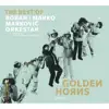 Golden Horns - Best of Boban i Marko Markovic Orkestar album lyrics, reviews, download
