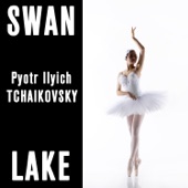 Swan Lake artwork