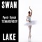 Swan Lake, Op. 20: No. 17, Entree des invites et valse. Allegro - Tempo di valse artwork