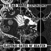 Electric Gates of Heaven - Single