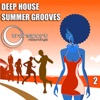 Deep Summer Grooves, Vol. 2