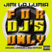 For DJ's Only (Remixes) artwork