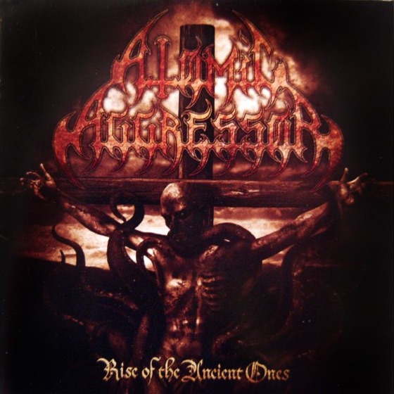 Cover artwork for The Hallucination
