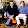 Zico e Zeca