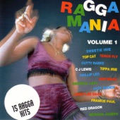 Ragga Mania, Vol. 1 artwork