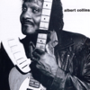 Albert Collins - Albert Collins