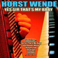 Horst Wende - Yes Sir That's My Baby artwork